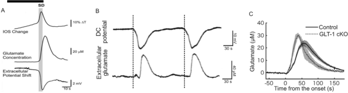 Questioning Glutamate Excitotoxicity in Acute Brain Damage: The Importance of Spreading Depolarization