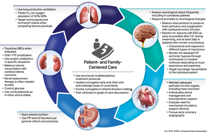 Sodium Bicarbonate for cardiac arrest: Time to put it away – CriticalCareNow