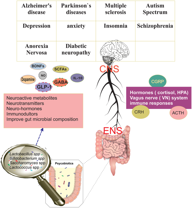 Psychobiotics: the Influence of Gut Microbiota on the Gut-Brain Axis in  Neurological Disorders