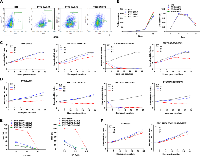 Multipurposing CARs: Same engine, different vehicles: Molecular Therapy