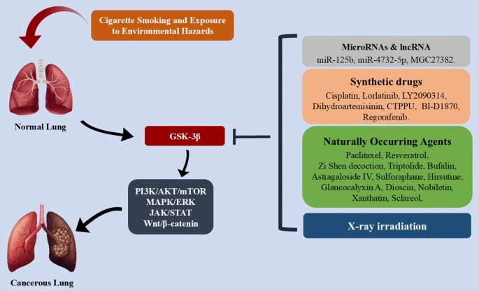 clipper cigarette Clipper Filtered Full Flavor Cigar - Delivered In As Fast As 15 Minutes