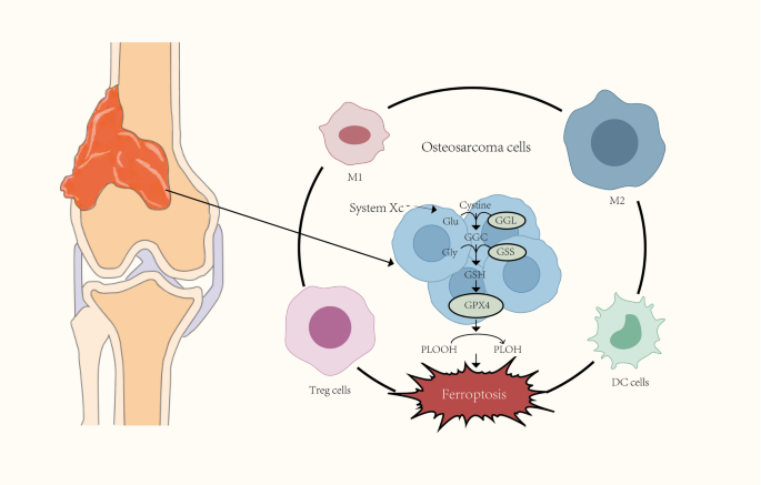 glutathione reductase diabetes Frontiers