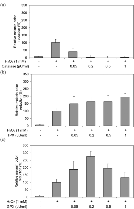 glutathione melanin Melanin-Decolorizing Activity of Antioxidant Enzymes, Glutathione  Peroxidase, Thiol Peroxidase, and Catalase | Molecular Biotechnology