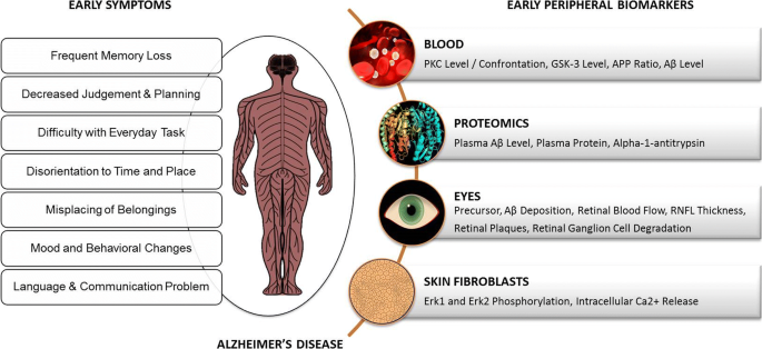 Early identification of Alzheimer's disease in mouse models