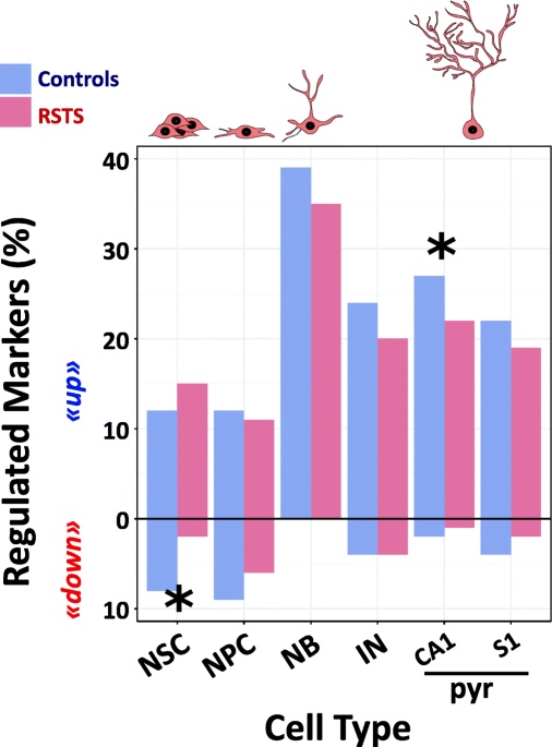 Rubinstein-Taybi Syndrome: spectrum of CREBBP mutations in Italian patients, BMC Medical Genetics