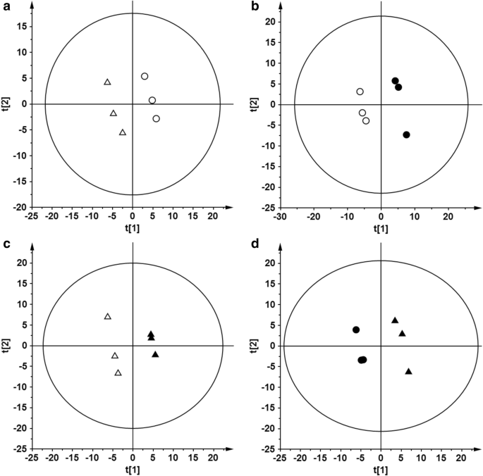 Hippocampal Sector–Specific Metabolic Profiles Reflect Endogenous