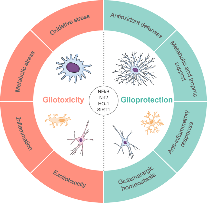 glutathione intake skin whitening Glutathione Skin Lightening