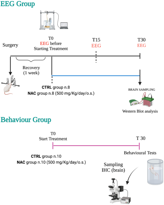 glutathione and epilepsy reduced seizures Brain Increase Seizure Burden Decrease in Patients with Intractable on Ketogenic Diet A schematic presentation of proposed  glutathione seizures and epilepsy Fatal
