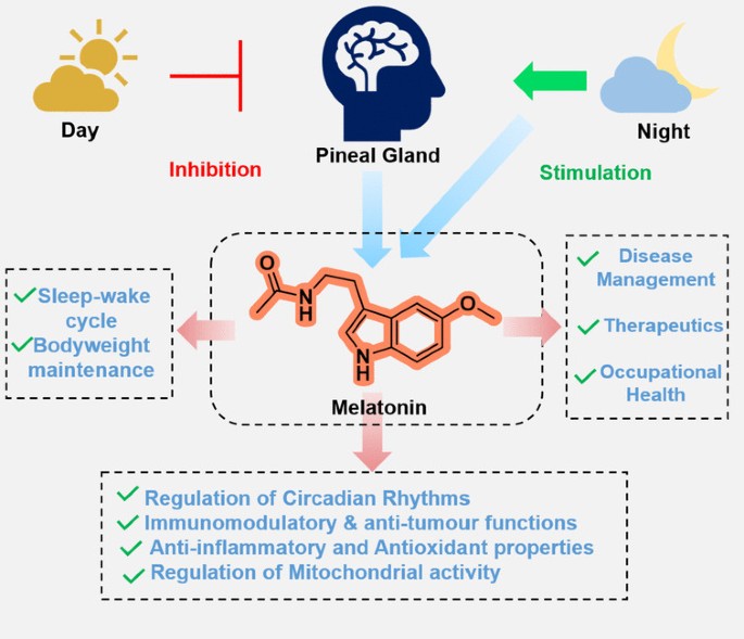 inhaled glutathione emphysema IV and Nebulized Glutathione: What You Need to Know