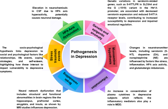 does glutathione increase serotonin Frontiers Glutathione alterations in depression: a