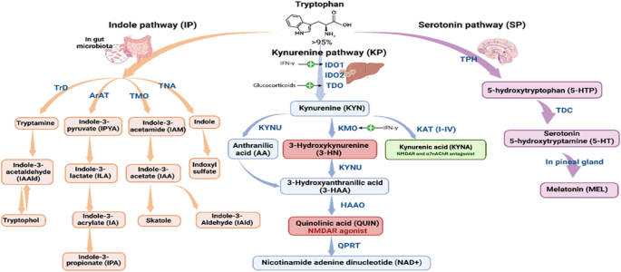 can glutathione cause spotting Arterial and venous thrombosis in systemic and monogenic vasculitis