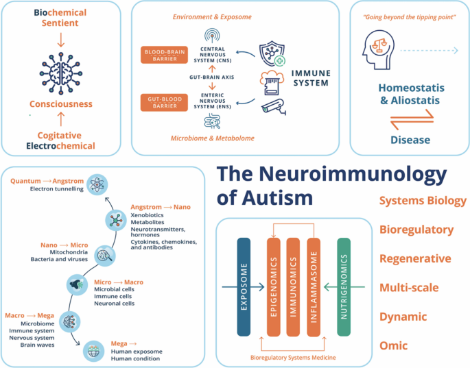 The Neuroimmunology of Autism | Molecular Neurobiology