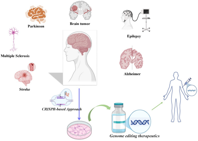 dr kan seizures leaky gut glutathione CRISPR-Based Gene Therapy for Brain Disease | Molecular Neurobiology Glutathione Cream Uses And Acetyl Tetrapeptide-3 Size:22 lb / 10 kg
