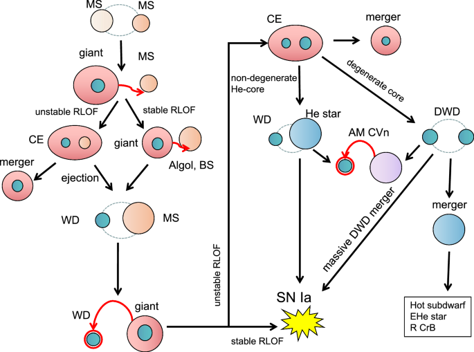 Merged white dwarfs and nucleosynthesis | Journal of Astrophysics and  Astronomy