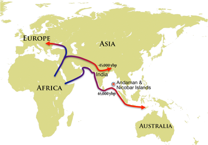 Complex genetic origin of Indian populations and its implications | Journal  of Biosciences | Springer Nature Link