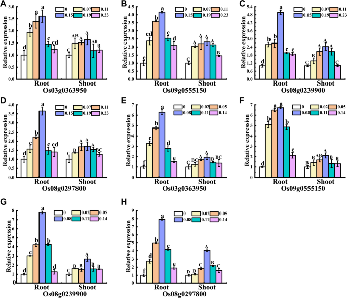 fluroxypyr-meptyl glutathione s-transferase activator Enhanced metabolic detoxification is associated with fluroxypyr resistance in Bassia scoparia - Todd - 2024 - Plant Direct Overexpression of Glutathione S-Transferases in