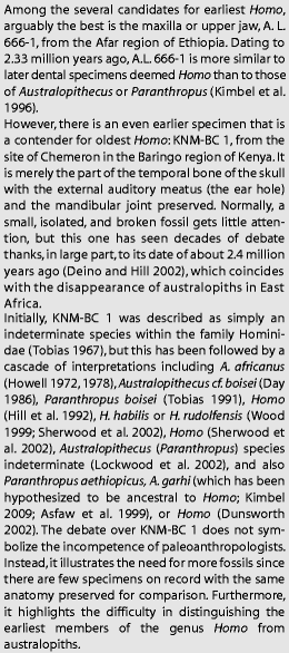 Homo habilis—A Premature Discovery: Remembered by One of Its