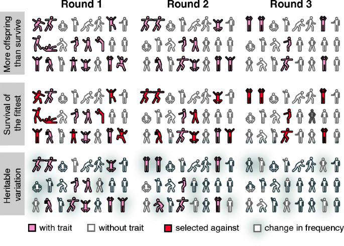 Survival of the Fittest: The Evolution of IT - Switchboard Software