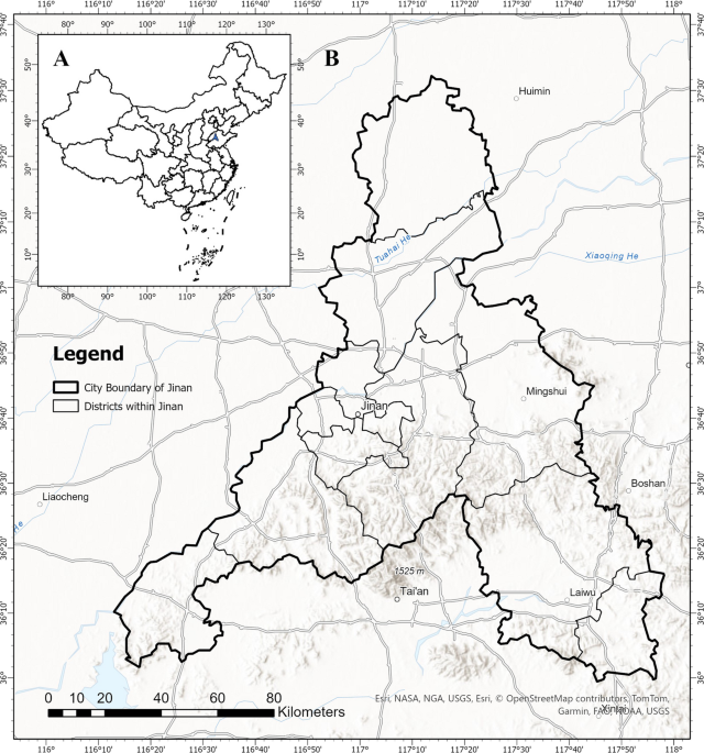 Travel patterns and Punjab ride-hailing permits analysis