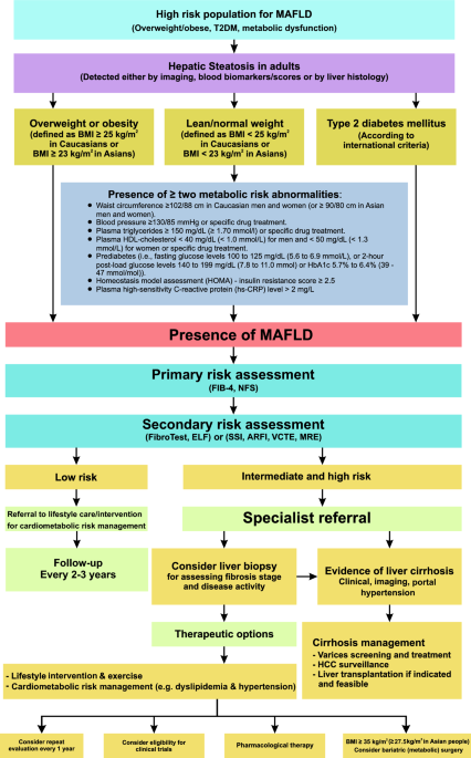 tirzepatide hepatic impairment child-pugh The Importance of Classification for Staging The Asian Pacific association for