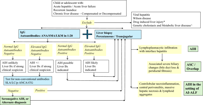 Autoimmune hepatitis in children: Guidelines of the Indian Society of Pediatric Gastroenterology, Hepatology, and Nutrition (ISPGHAN) | Hepatology International | Springer Nature Link Autoimmune hepatitis in children: Guidelines of the Indian Society of Pediatric Gastroenterology, Hepatology, and Nutrition (ISPGHAN) | Hepatology International | Springer Nature Link