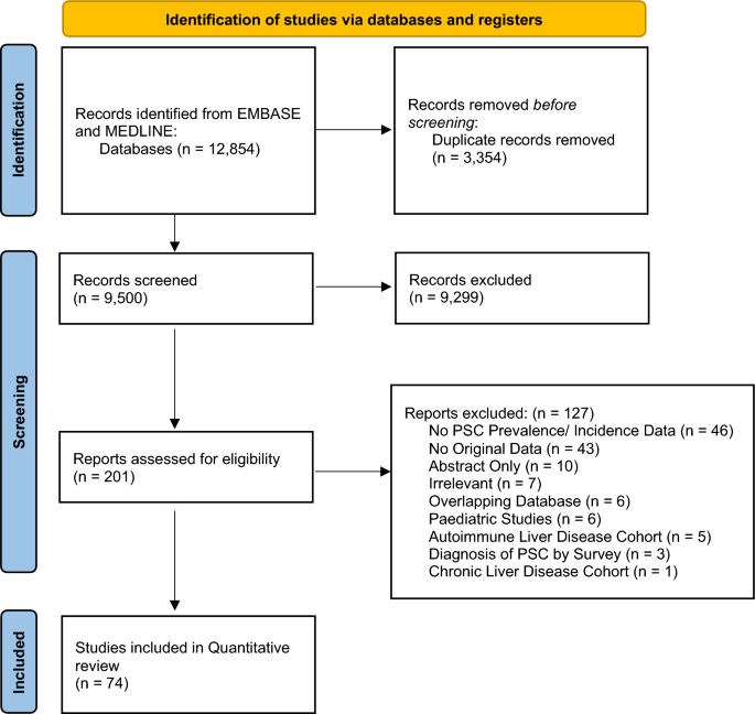 Epidemiology of primary sclerosing cholangitis in general and IBD populations: a systematic review and meta-analysis