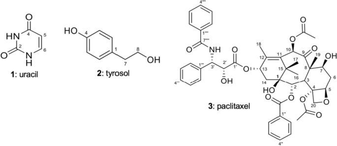 Fusarium solani PQF9 Isolated from Podocarpus pilgeri Growing in Vietnam as  a New Producer of Paclitaxel