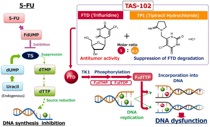 TAS 102 mechanism of action compared to 5-FU