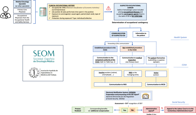 SEOM-AEEMT consensus on occupational cancer and cancer-associated disability