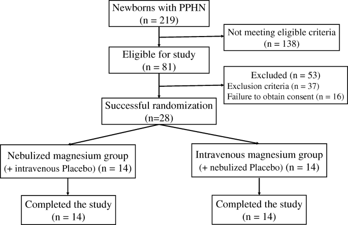 Nebulized Magnesium Sulfate for Treatment of Persistent Pulmonary  Hypertension of Newborn: A Pilot Randomized Controlled Trial | Indian  Journal of Pediatrics