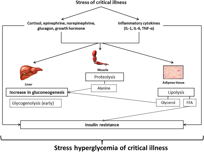 PDF) Comment on Tsai, Y.-C., et al. Association of Stress-Induced  Hyperglycemia and Diabetic Hyperglycemia with Mortality in Patients with  Traumatic Brain Injury: Analysis of a Propensity Score-Matched Population.  Int. J. Environ. Res.