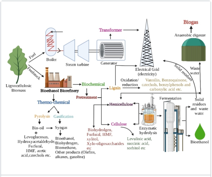 Carbon-Negative Food Waste-Derived Bioethanol: A Hybrid Model of