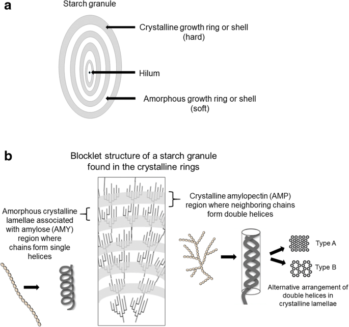 Rapid visco analysis (RVA) profiles of starch suspensions [10.0% w