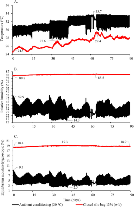 Real‐time equilibrium moisture content monitoring to predict grain