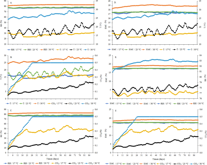 Real‐time equilibrium moisture content monitoring to predict grain