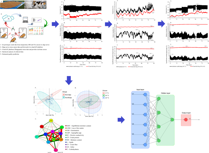 Real‐time equilibrium moisture content monitoring to predict grain