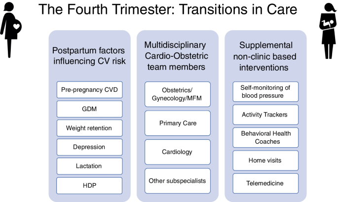 The Fourth Trimester: a Time for Enhancing Transitions in Cardiovascular  Care