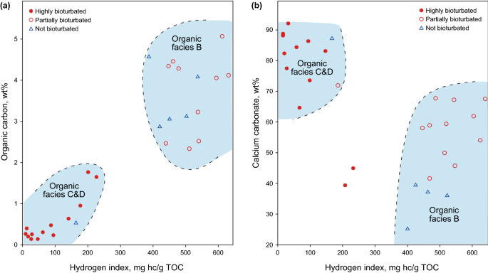 A review of carbonates as hydrocarbon source rocks: basic geochemistry and  oil–gas generation