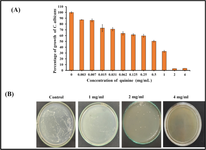 cola lipid c efficacy against albicans Repurposing of quinine as an antifungal antibiotic: Identification of  molecular targets in Candida albicans | Folia Microbiologica