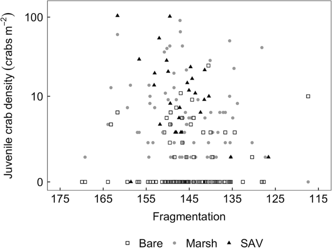 Blue Crab Abundance and Survival in a Fragmenting Coastal Marsh