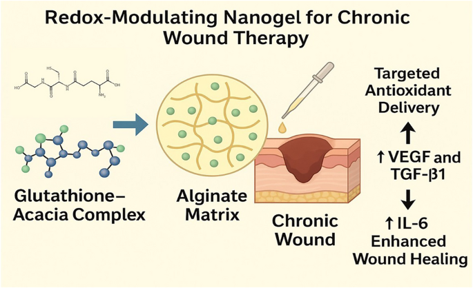 glutathione wound healing Redox-Modulating Nanogel for Acute Wound Therapy: Glutathione–Acacia  Complex in an Alginate Matrix for Targeted Antioxidant Delivery | Journal  of Pharmaceutical Innovation