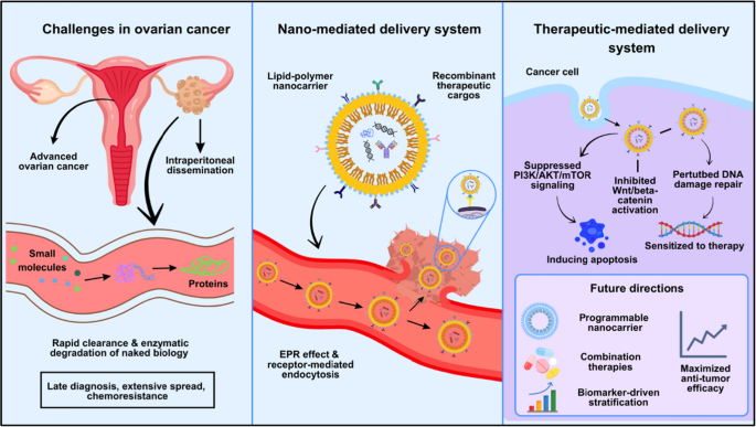 glutathione ovarian cancer cysts Quercetin modulates the interplay between DNMT gene expression, oxidative stress, and trace elements in DHEA-induced polycystic ovary syndrome rat model Glutathione in Ovarian Cancer: A  glutathione kegg pathway Multi-Omics Analysis
