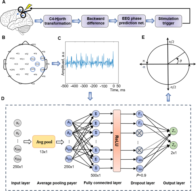 A Novel Real-time Phase Prediction Network in EEG Rhythm