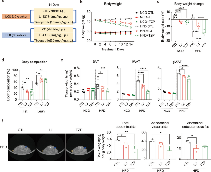 tirzepatide weight regain study Comparative analysis of LJ-4378 and tirzepatide in mouse models of obesity  and weight regain | Archives of Pharmacal Research