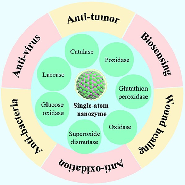 Recent progress in single-atom nanozymes research | Nano Research