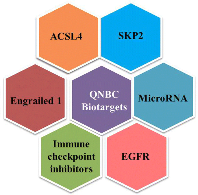 Quadruple negative breast cancer