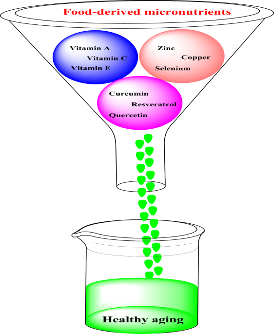 can glutathione cause kidney stones Food-Derived Micronutrients as Alleviators of Age-Related Dysfunction: A  Dive into Their Effects and Cellular Mechanisms | Indian Journal of  Clinical Biochemistry