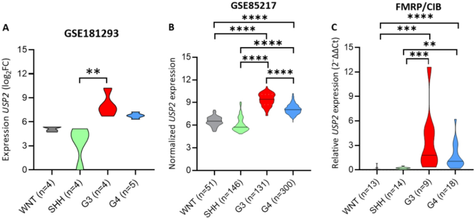Therapeutic Potential of Targeting USP2 in Pediatric Group 3 and 4 Medulloblastomas: Insights from In Silico, Ex Vivo, and In Vitro Studies - The Cerebellum