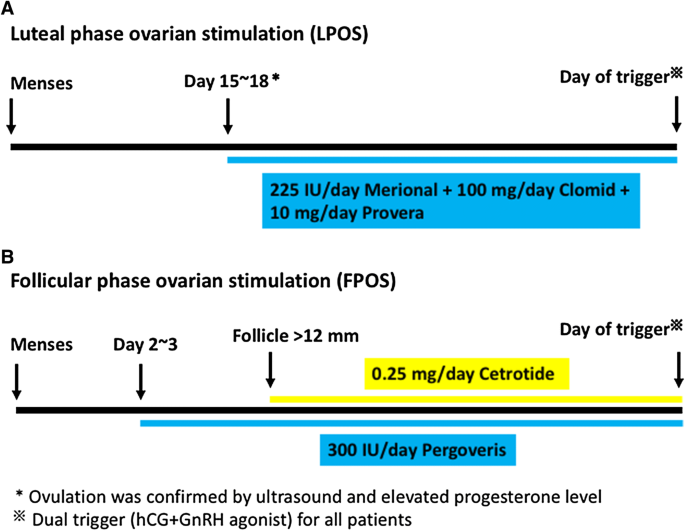 Association between diminished ovarian reserve and luteal phase