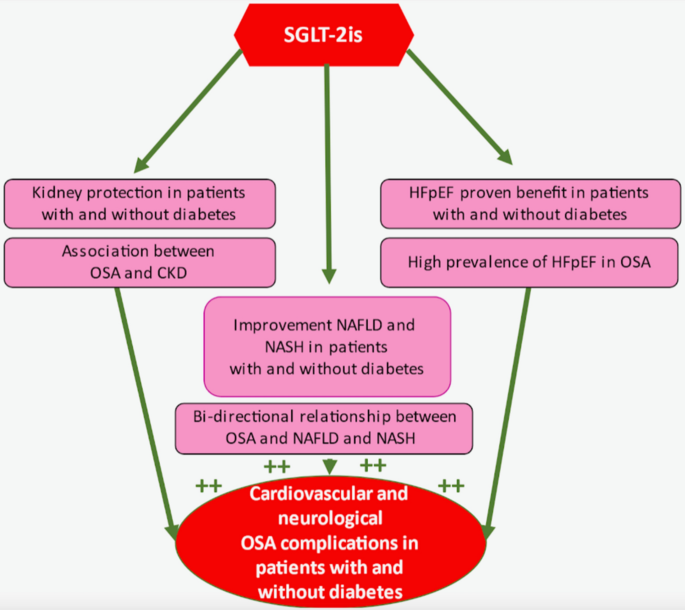 Physiogenex and Cardiomedex to present a new diabetic NASH HFpEF